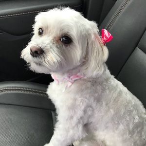 Meet your Posher, Kimberly